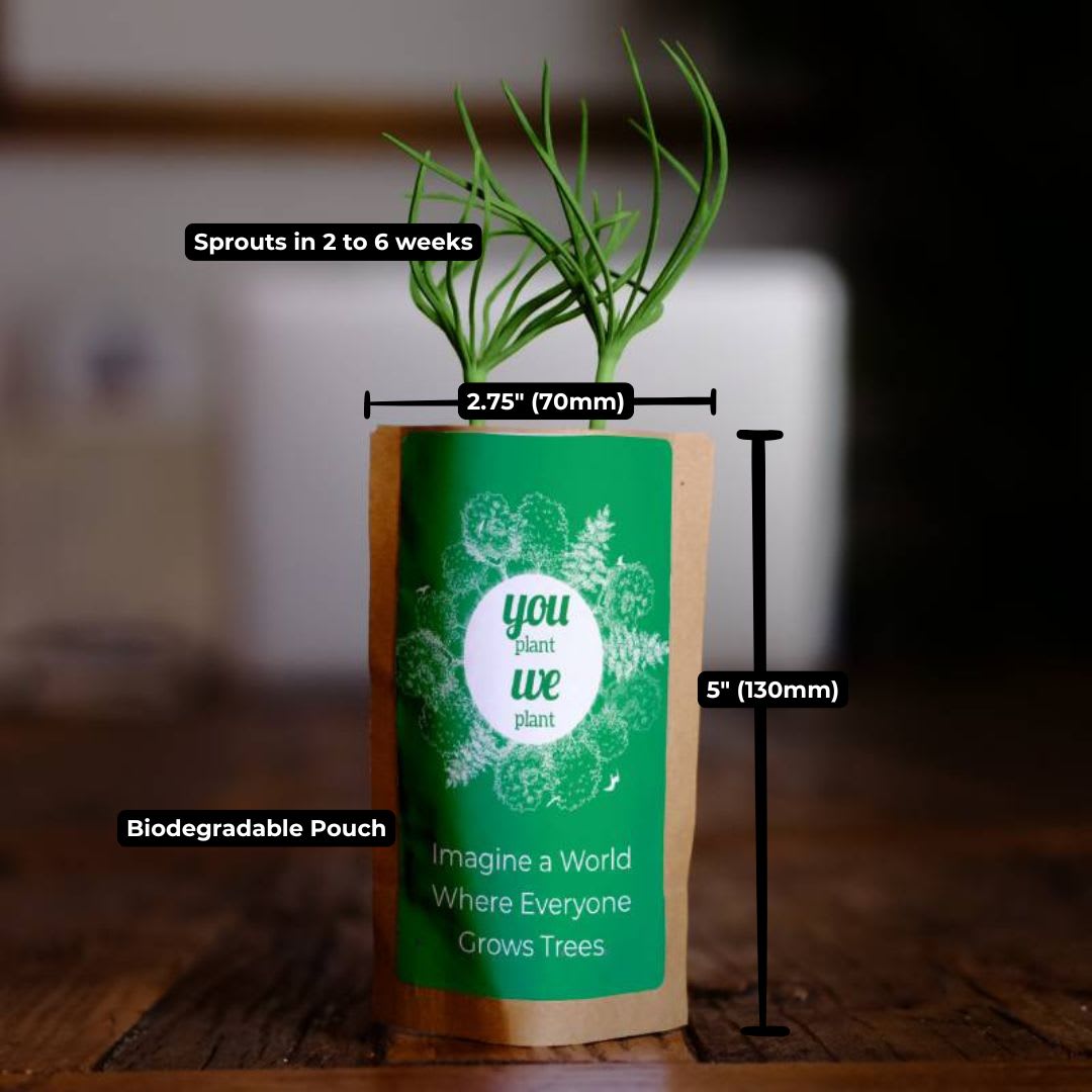 You Plant We Plant Tree Pouch
