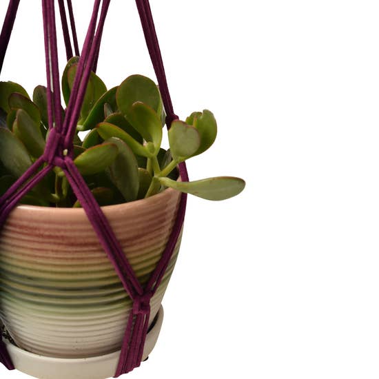 DIY Eco Macramé Plant Hanger Kit