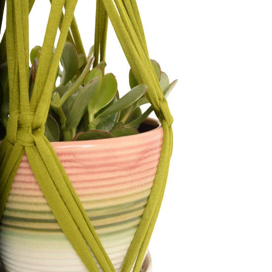 DIY Eco Macramé Plant Hanger Kit