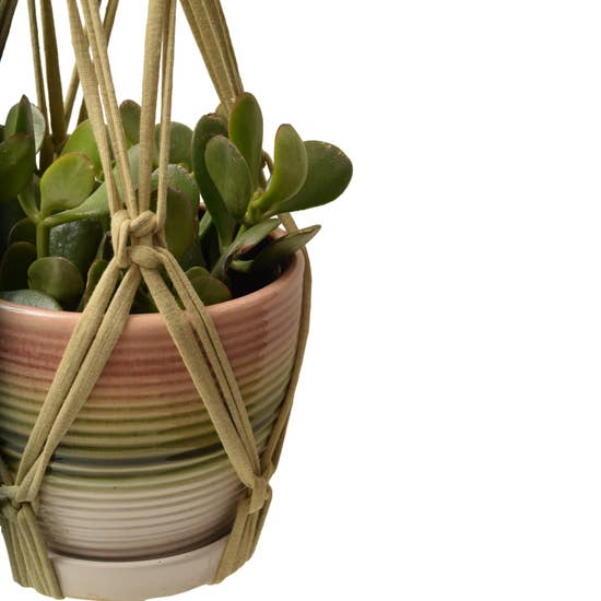 DIY Eco Macramé Plant Hanger Kit