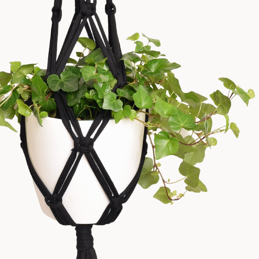 DIY Eco Macramé Plant Hanger Kit