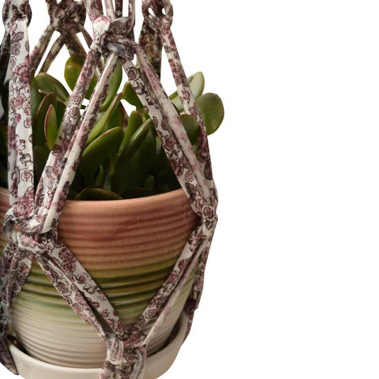DIY Eco Macramé Plant Hanger Kit