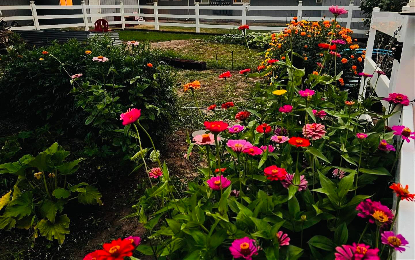 Grow Hope: Support Horticultural Therapy & Community Wellness