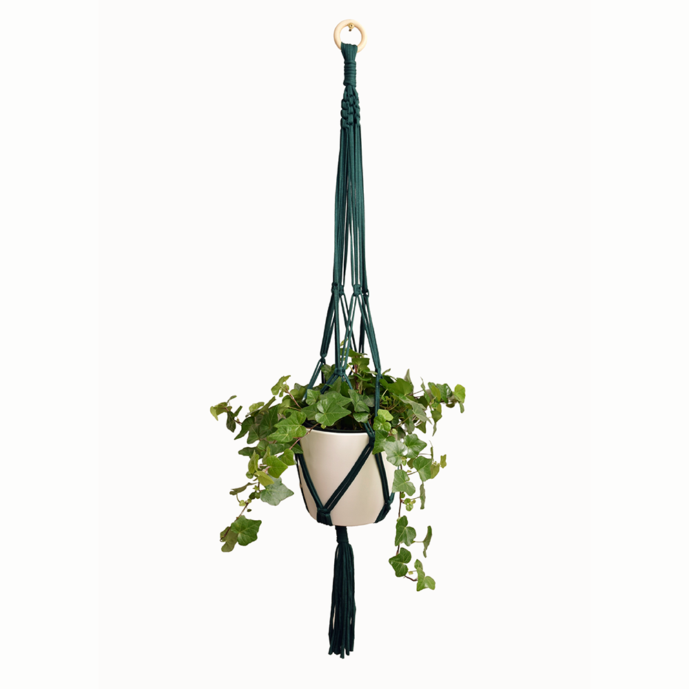 DIY Eco Macramé Plant Hanger Kit