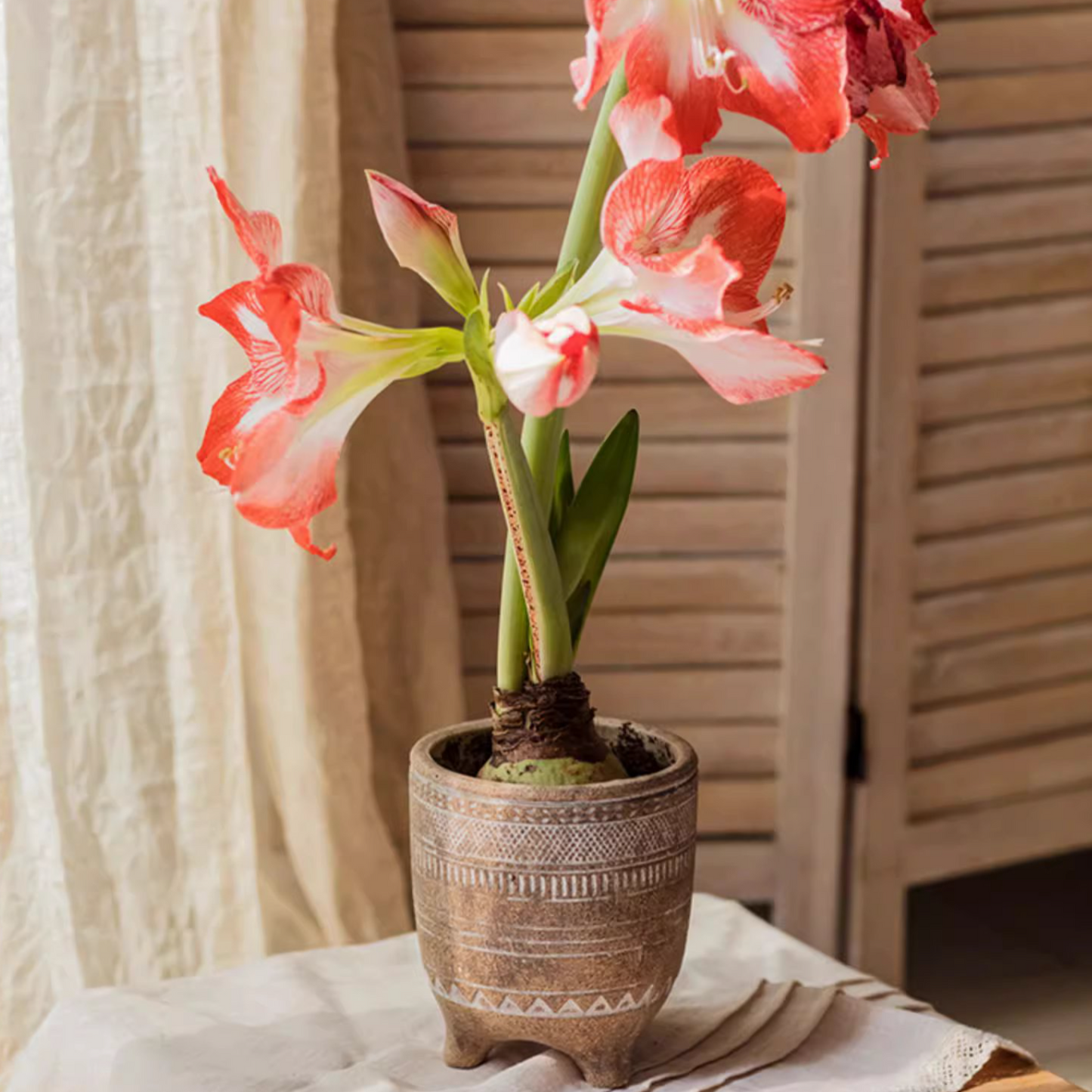 Bohemian Red Clay Planter