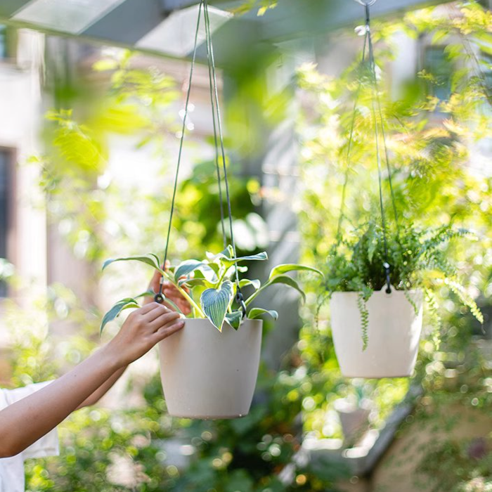 Modern Resin Hanging Planter