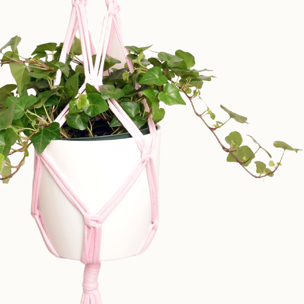 DIY Eco Macramé Plant Hanger Kit