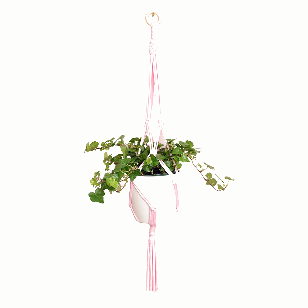 DIY Eco Macramé Plant Hanger Kit