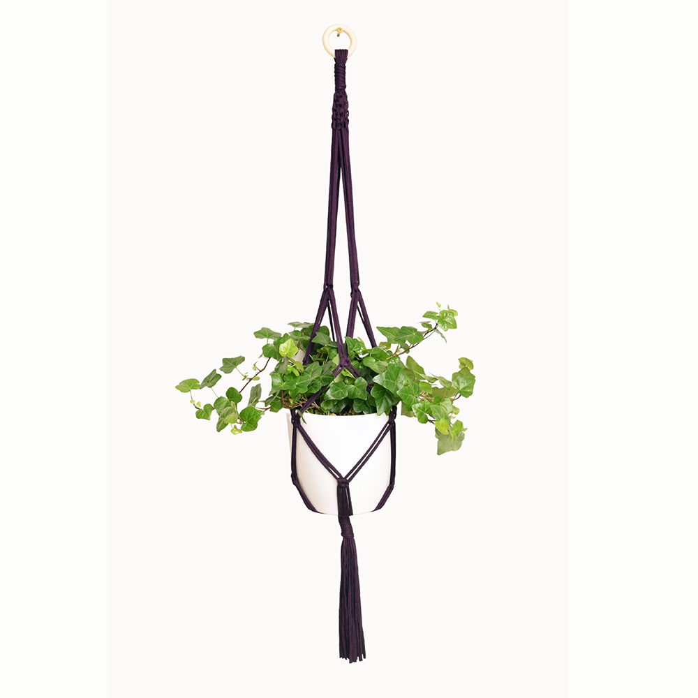 DIY Eco Macramé Plant Hanger Kit