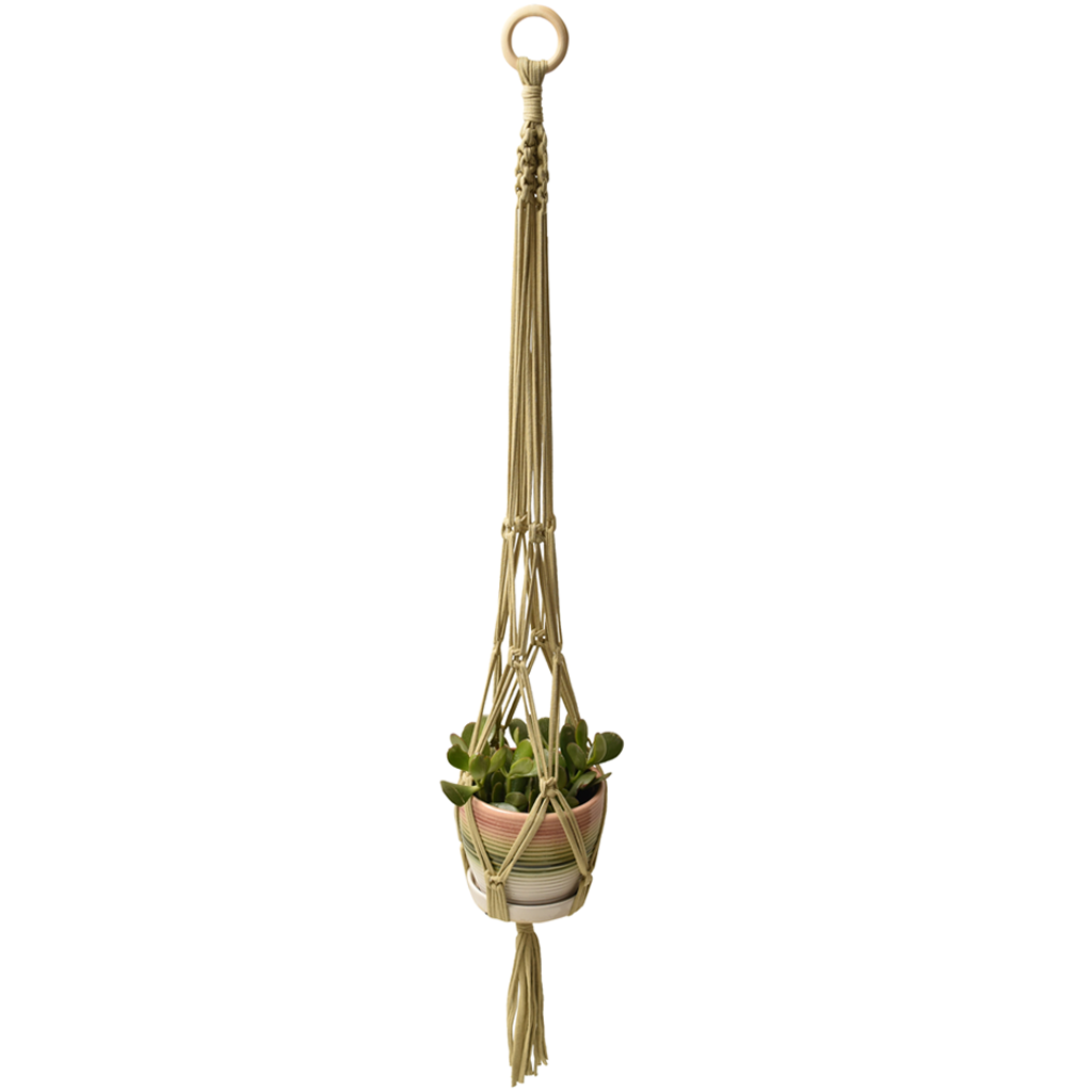 DIY Eco Macramé Plant Hanger Kit