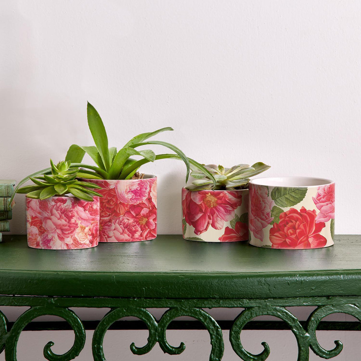 Plant Pots & Stands