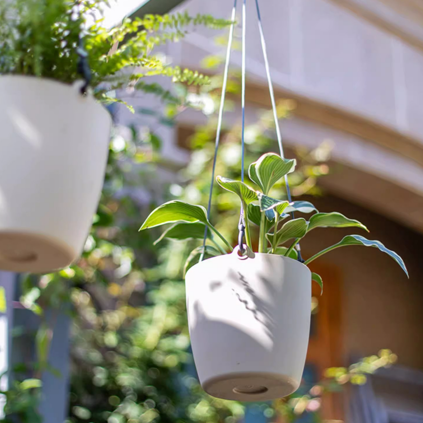 Modern Resin Hanging Planter