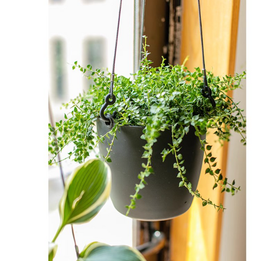 Modern Resin Hanging Planter