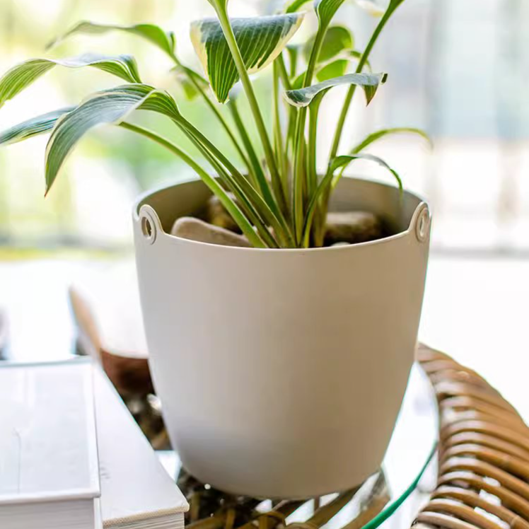 Modern Resin Hanging Planter