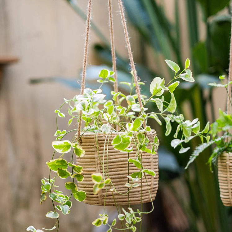 Faux Rattan Cement Hanging Planter