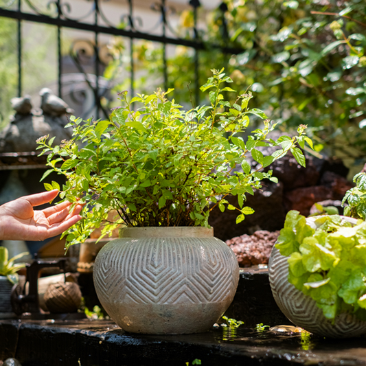 Yukun Terracotta Planter Pot