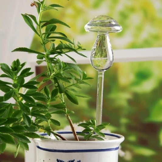 Mushroom Self-Watering Glass Planter Set